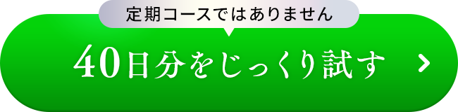 40日分をじっくり試す
