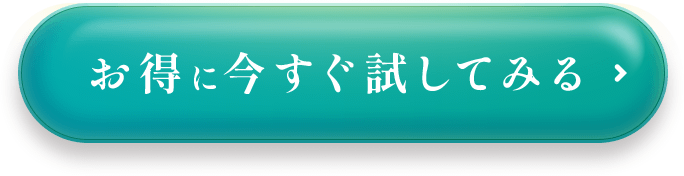 お得に今すぐ試してみる