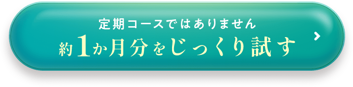 じっくり試す