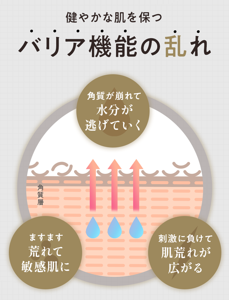 健やかな肌を保つバリア機能の乱れ