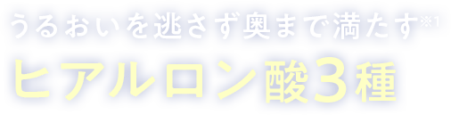 ヒアルロン酸3種